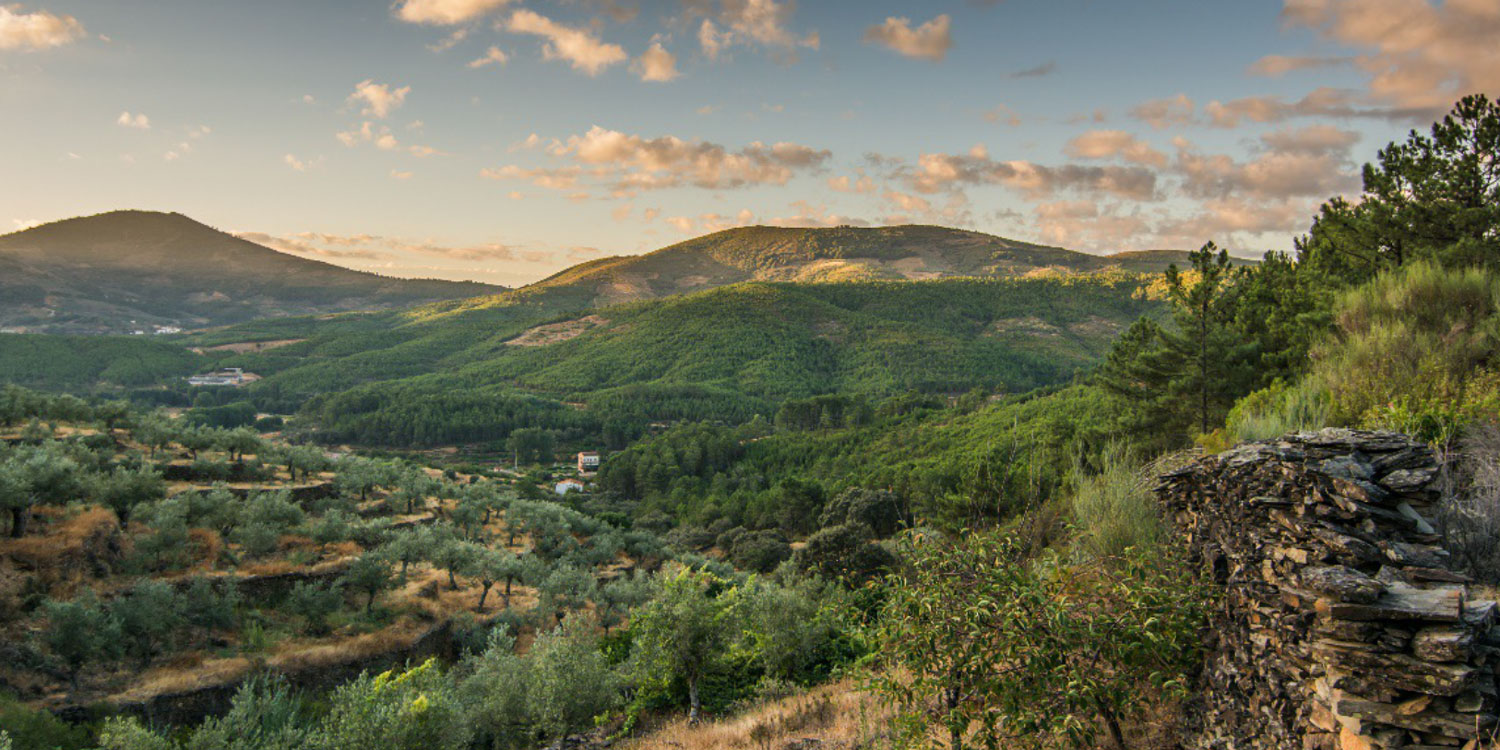 Tuscan-Emilian