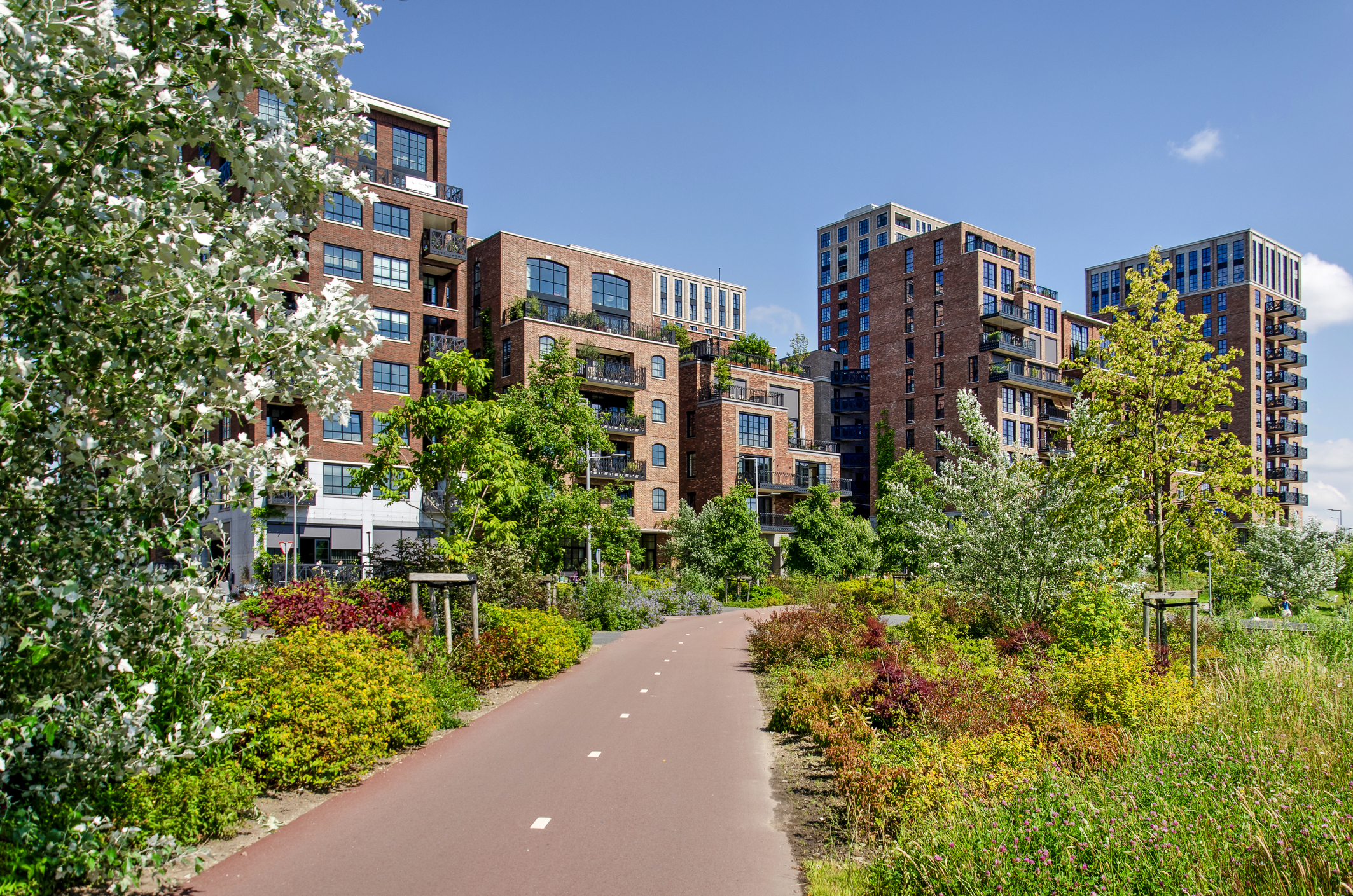 Little C and Tuschinski Park in Rotterdma